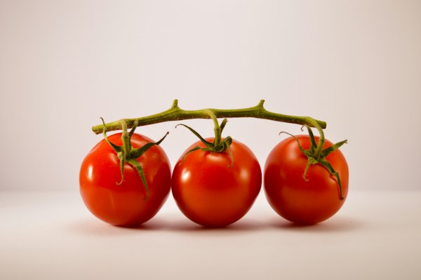 Tomates chonto frescos y jugosos